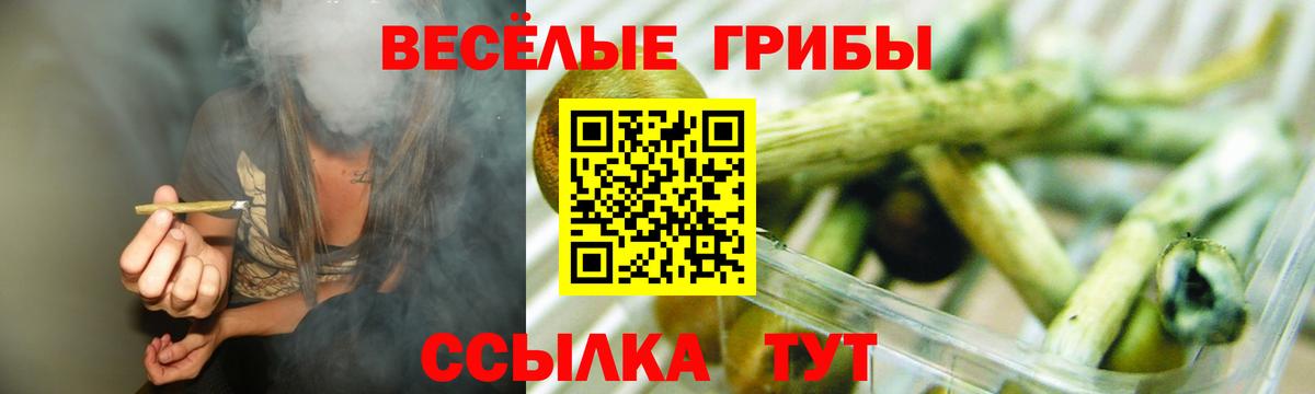 Минусинск  Галлюциногенные грибы Psilocybe  Вход с VPN  Псилоцибиновые грибы Cubensis 